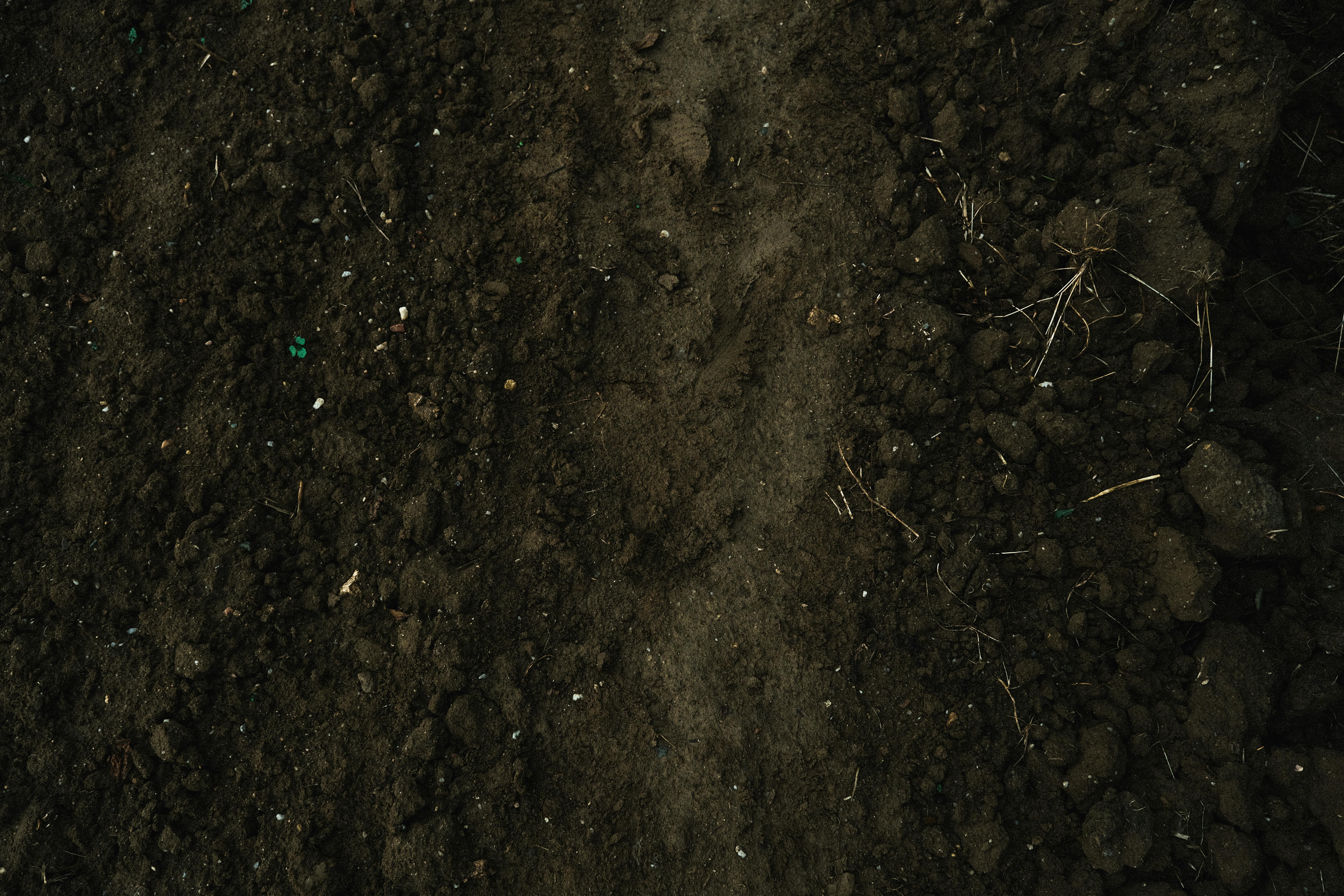 Topsoil texture